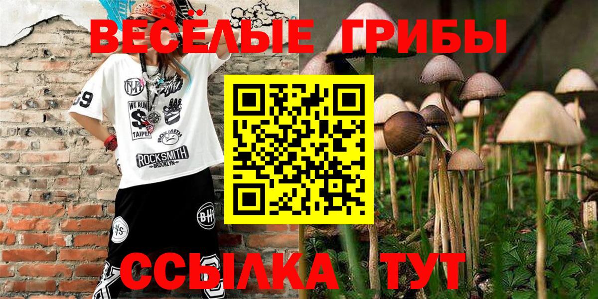 Галлюциногенные грибы Psilocybine cubensis Торжок